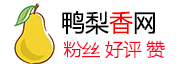 www.kju5.com 苦菊ins粉丝网- 自助下单，安全快捷的粉丝购买平台- Tiktok买粉丝|Tiktok粉丝购买 kju5.com Ins涨粉丝网|加粉丝